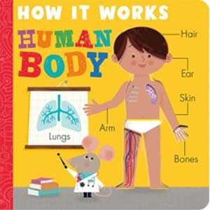 How It Works: Human Body-Amelia Hepworth