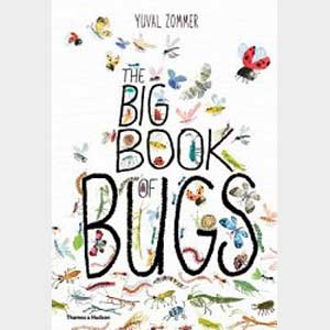 The big book of bugs-yuval zommer