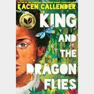 King and the Dragonflies-Kacen Callender