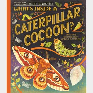 What's Inside a Caterpillar Cocoon?-Rachel Ignotofsky (Rose Tree)