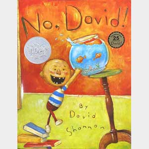 No, David! (hardcover)<br>David Shannon (Wayne)