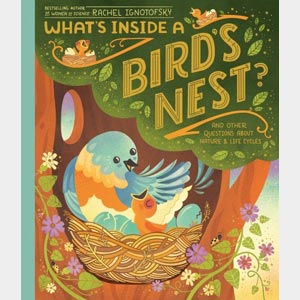 What's Inside A Bird's Nest?-Rachel Ignotofsky <br>Paperback (Wayne-SS, K-1)