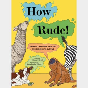 How Rude!<br>Chana Stiefel<br>and<br>Anna Louise Oliver<br>Paperback <br>(Wayne-SS, 4-5)